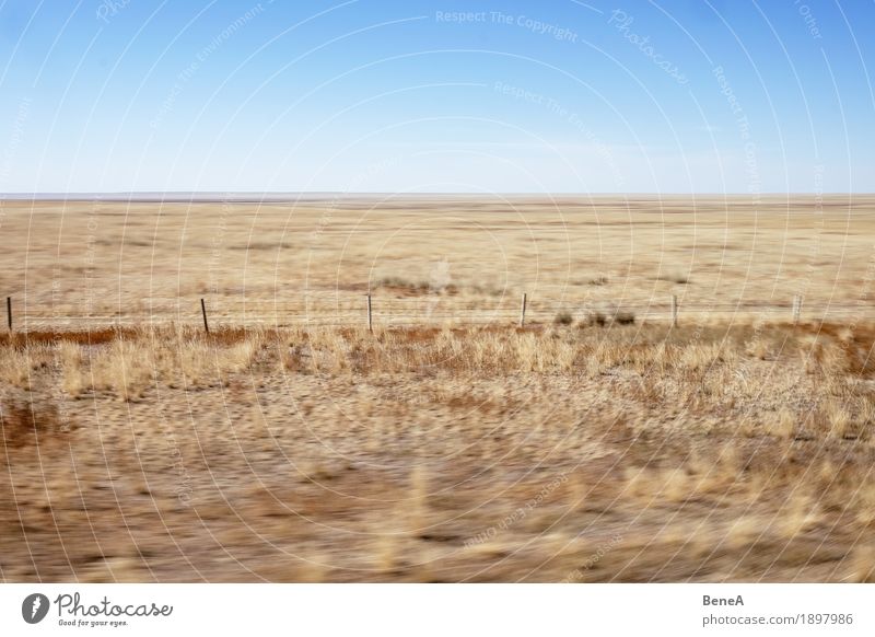 Train ride through the Mongolian steppe Nature Yellow Movement Loneliness Exotic Horizon Vacation & Travel Logistics Environment Far-off places China Gobi