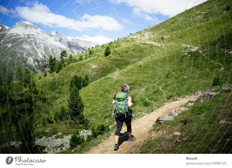 Woman with rucksack goes mountain hiking in Vinschgau, Italy Sports Human being Adults Nature Going Hiking Loneliness Relaxation Leisure and hobbies Joy