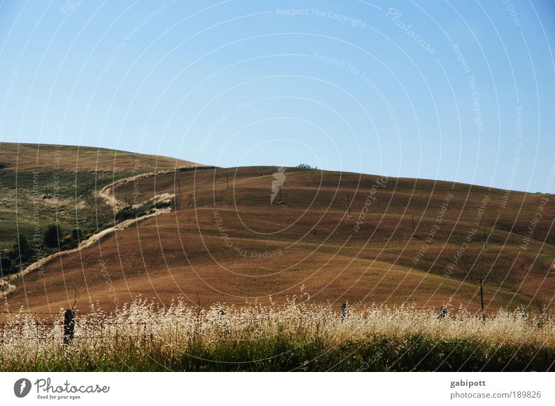 running up that hill Environment Nature Landscape Plant Elements Earth Sky Horizon Summer Beautiful weather Grass Bushes Field Hill Tuscany Fence post Blue