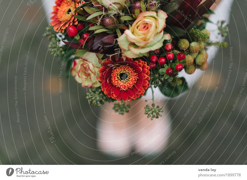 autumn bouquet Valentine's Day Wedding Birthday Flower Gerbera Rose Bouquet Red Donate Gift Autumn November December January Bride Colour photo Copy Space left