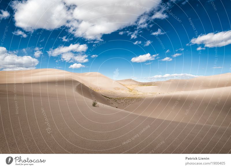 Great Sand Dunes National Park, Colorado Well-being Contentment Senses Relaxation Calm Meditation Vacation & Travel Far-off places Freedom Expedition Hiking