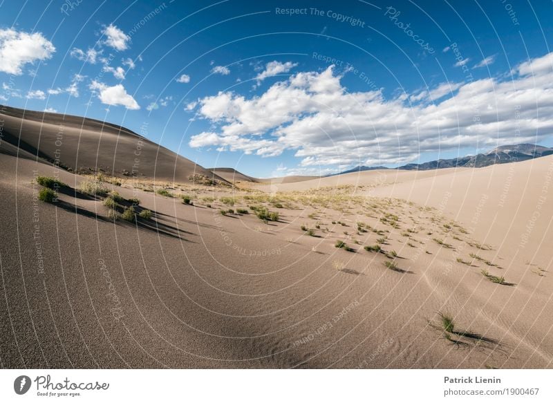 Great Sand Dunes National Park, Colorado Well-being Senses Relaxation Calm Vacation & Travel Trip Adventure Far-off places Freedom Expedition Camping Hiking