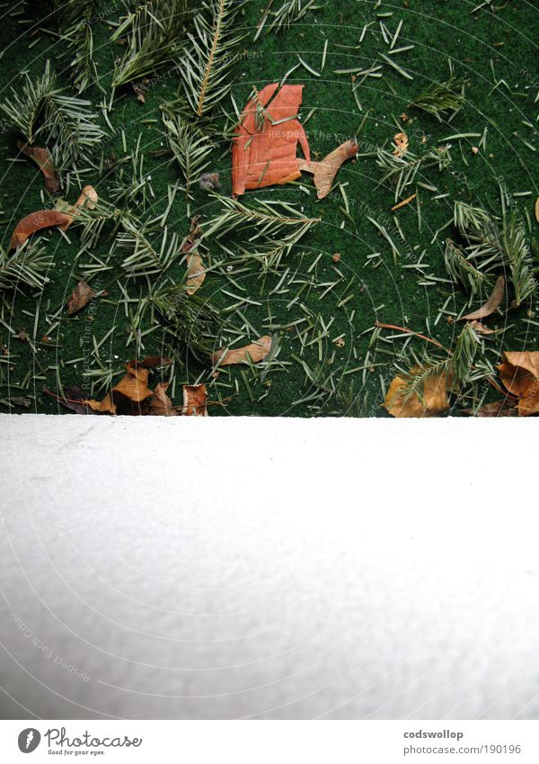christmas leftovers with text space below Winter Balcony Gloomy Green White Pine needle Artificial lawn knut January Colour photo Exterior shot