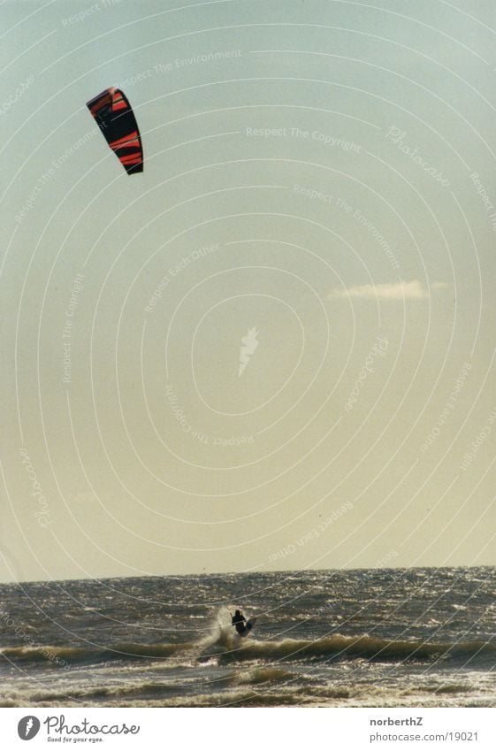 kitesurfer Surfer Ocean Sports North Sea Water Wind Kiting