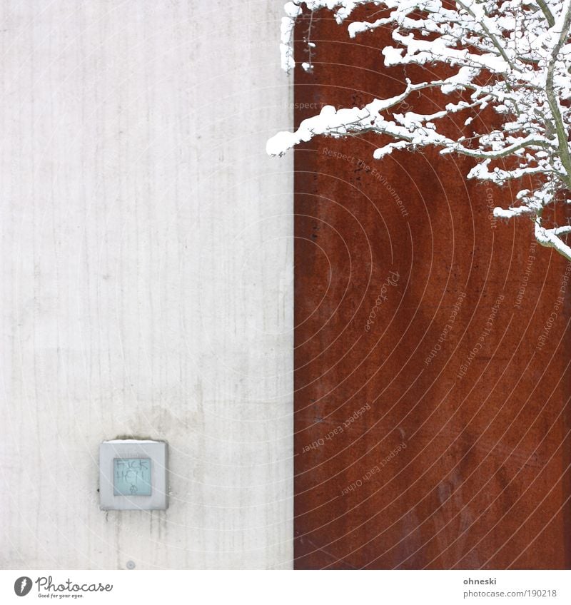 contrasts Environment Nature Plant Winter Snow Tree Branch Wall (barrier) Wall (building) Cold Rust Colour photo Exterior shot Pattern Structures and shapes