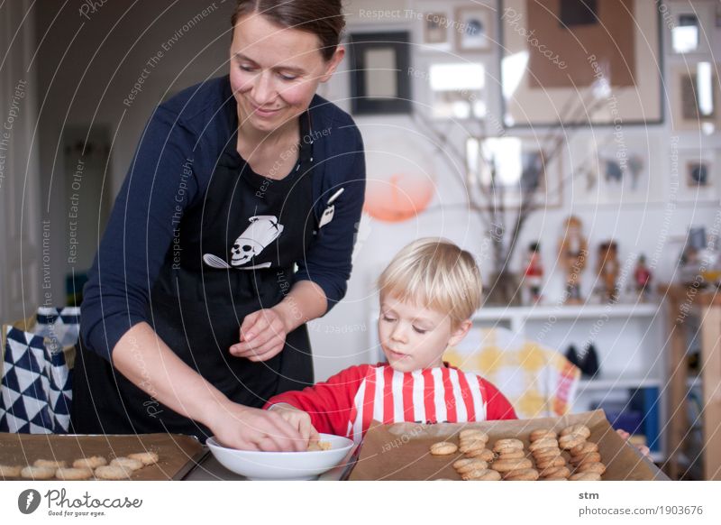Baking cookies together as a family Dough Baked goods Cookie cut out cookies cookie dough Nutrition Leisure and hobbies Living or residing Flat (apartment)