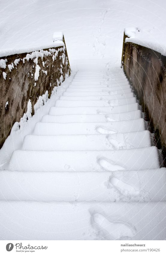snow staircase Environment Nature Winter Climate Weather Snow Park Deserted Manmade structures Architecture Stairs Traffic infrastructure Pedestrian