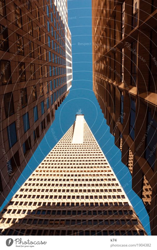 San Francisco Days | Financial District Sky Cloudless sky Town Downtown High-rise Bank building Architecture Window Concrete Glass Large Tall Blue Gold Narrow