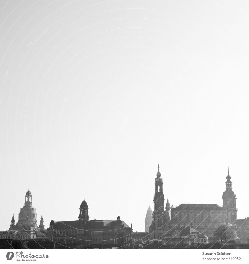 double-d-town Tourism Sightseeing Exhibition Culture Cloudless sky Dresden Town Downtown Old town Skyline High-rise Church Dome City hall Bridge Tower