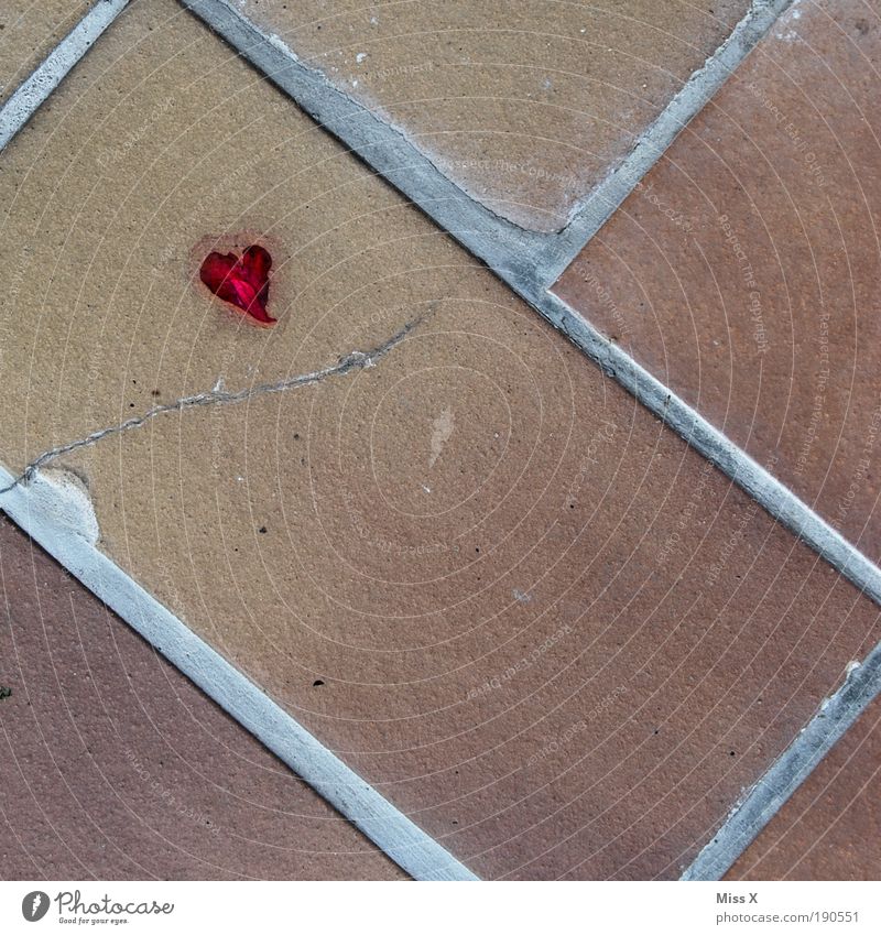 Heart on the ground Rose Leaf Blossom Places Balcony Terrace Street Lanes & trails Broken Small Love Sadness Pain Disappointment Loneliness Heart-shaped