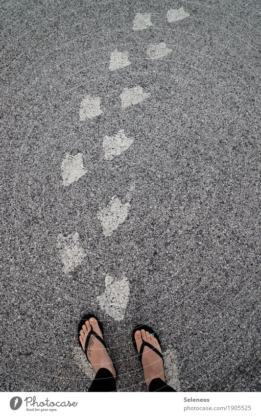 follow the white penguin Human being Legs Feet 1 Street Lanes & trails Tattoo Flip-flops Animal tracks Penguin Sign Signs and labeling Beginning Following