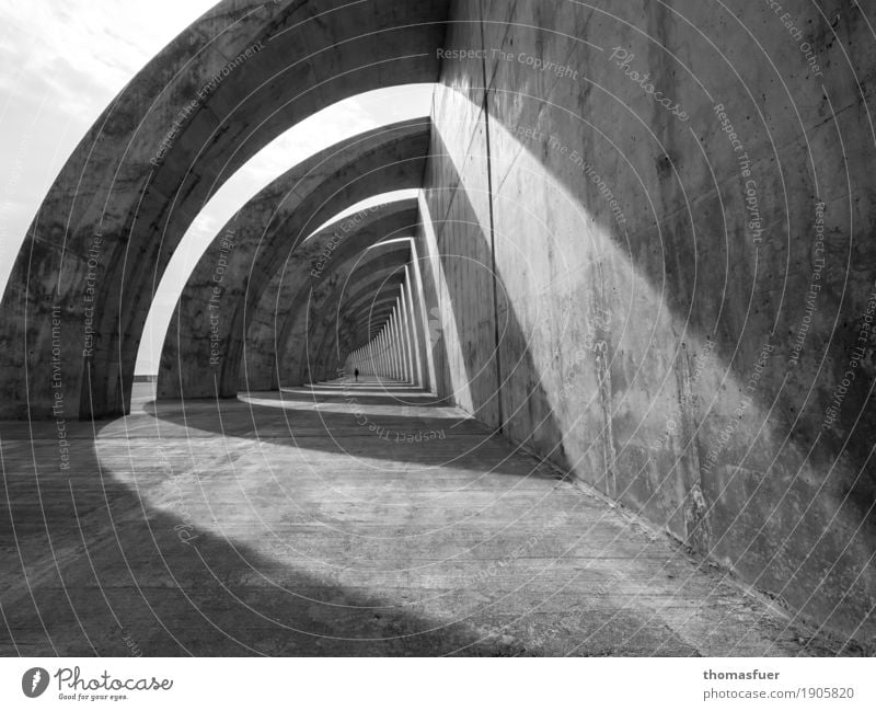 concrete, tunnel, woman Human being Woman Adults 1 Beautiful weather Tunnel Manmade structures Building Architecture Mole Break water Wall (barrier)