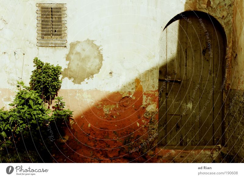 behind closed doors Bushes Foliage plant Morocco Old town House (Residential Structure) Hut Gate Building Architecture Wall (barrier) Wall (building) Garden