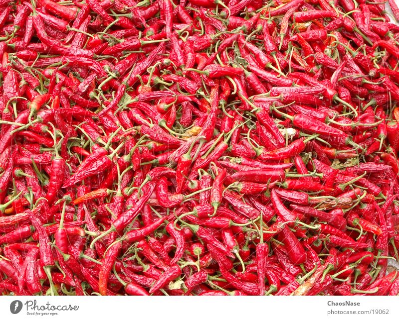 Sharp Healthy chilli Tangy Nutrition