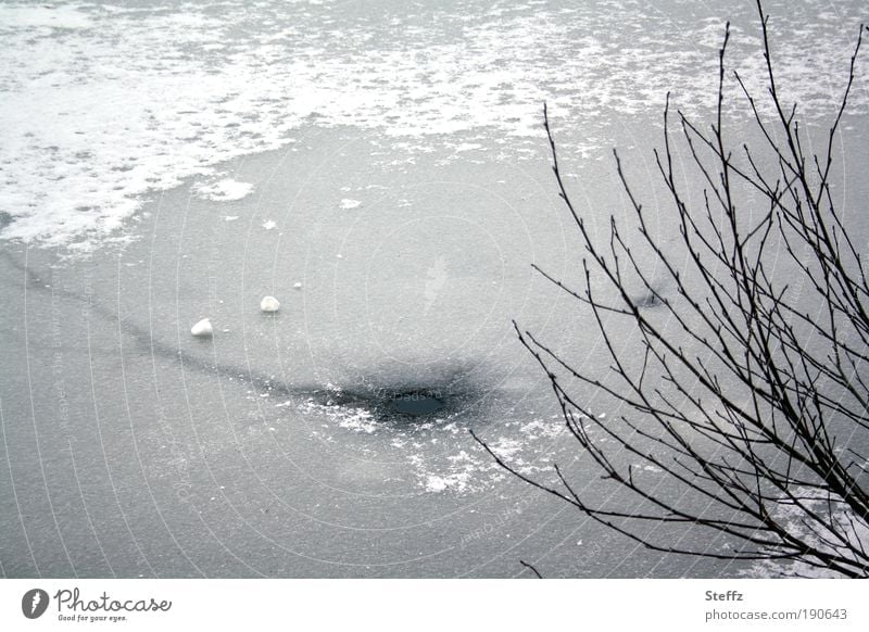 Eisloh in a frozen lake ice hole Frozen Nordic cold Domestic iced winterly silence Winter Silence onset of winter Ice cold snap Winter Melancholy Gray Snow Lake