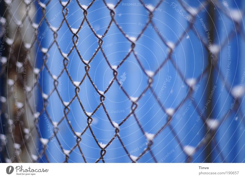 <><><><> Winter Snow Blue Wire netting fence Get stuck Heap Wire fence Cold entangled Captured penned Grating Protection Fenced in Colour photo Exterior shot