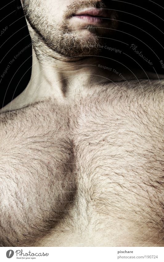 wtf is metrosexual?! Beautiful Body Hair and hairstyles Human being Masculine Man Adults Facial hair Chest 1 30 - 45 years Designer stubble Hairy chest
