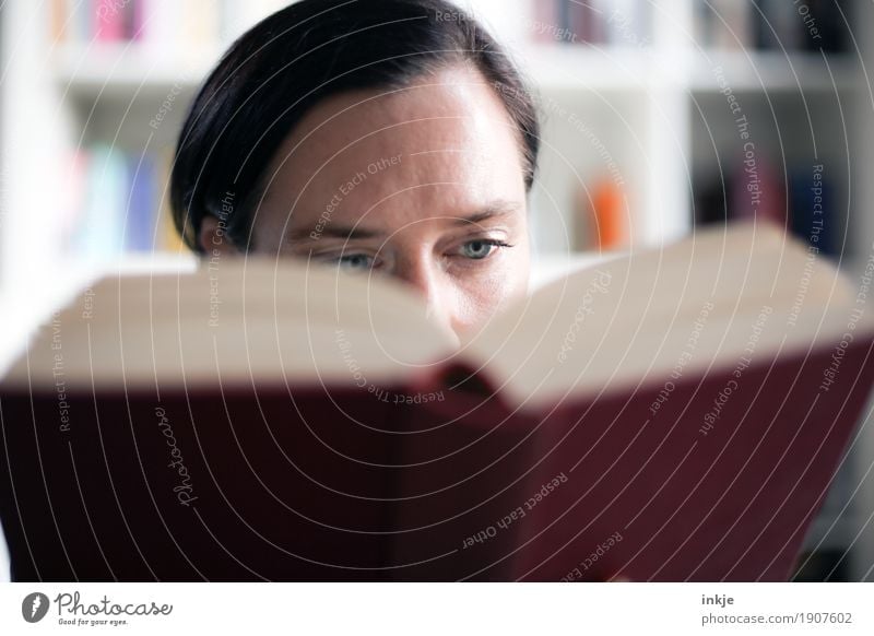 Woman reads in a book Lifestyle Leisure and hobbies Reading Bookshelf Education Adult Education Study Library Adults Face 1 Human being 30 - 45 years