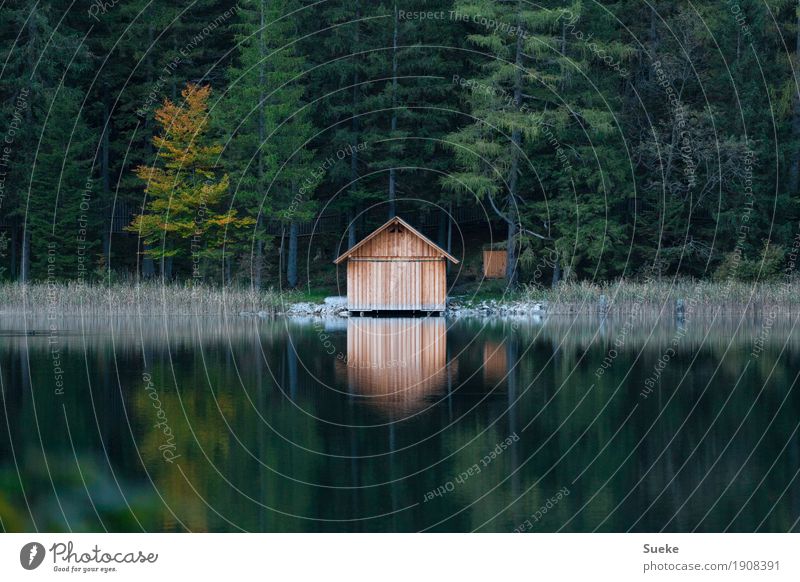Lake Cabin Trip Mountain Hiking Recreation area Wooden hut Nature Landscape Water Autumn reed Forest Lakeside Lake Leopoldstein Mountain lake Relaxation Dream