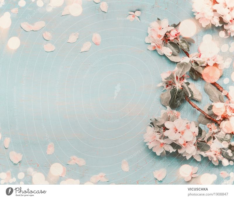Pretty spring flowers on a light blue background Style Design Summer Decoration Feasts & Celebrations Nature Plant Spring Flower Blossom Garden Blossoming