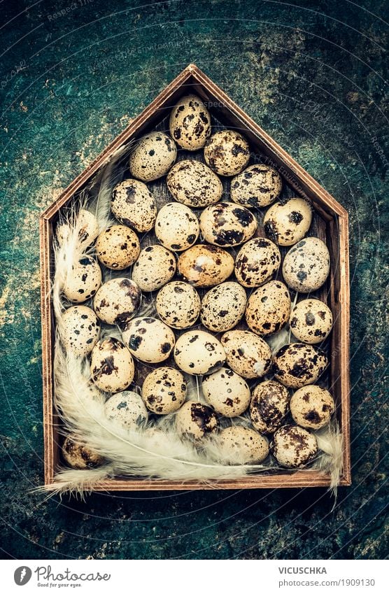 Eggs and feathers in wooden house decoration Style Design Life Interior design Decoration Easter Yellow Tradition Nest Symbols and metaphors Vintage Quail's egg