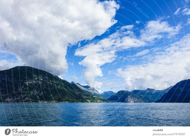 View of the Storfjord in Norway Relaxation Vacation & Travel Tourism Mountain Nature Landscape Water Clouds Fjord Idyll North Dal Scandinavia destination Sky