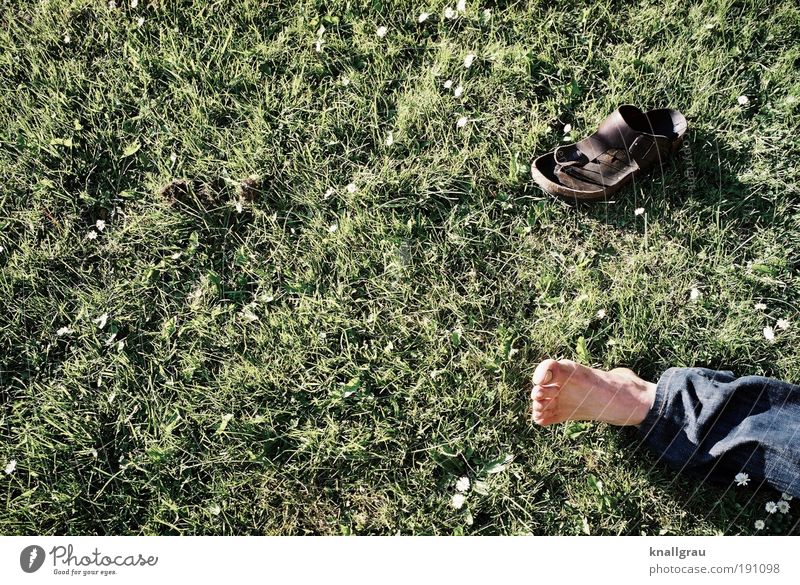 free-foot culture Lifestyle Joy Human being Masculine Feet 1 Lie Leisure and hobbies Sandal Break Relaxation Lawn Daisy Jeans Park Freedom Breathe Toes Green