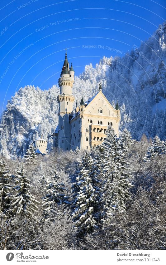 Neuschwanstein Castle Vacation & Travel Tourism Trip Sightseeing Snow Winter vacation Mountain Nature Landscape Cloudless sky Beautiful weather Tree Forest