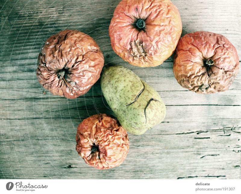Vintage apples (and pear) Fruit Apple Nature Autumn Old Lie Hideous Beautiful Dry Brown Yellow Green Red Colour photo Exterior shot Close-up Deserted