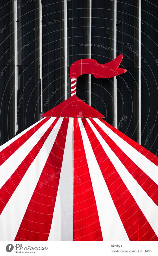 circus world Living or residing Art Circus Culture Event Shows Outdoor festival Circus tent Roof Line Stripe Esthetic Friendliness Funny Positive Red Black