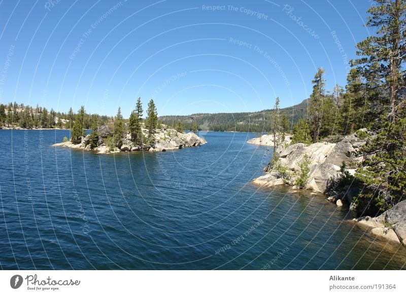 Silver Lake Nature Landscape Elements Water Cloudless sky Summer Beautiful weather Tree Wild plant Forest Rock Mountain Island Breathe Relaxation Esthetic Cold