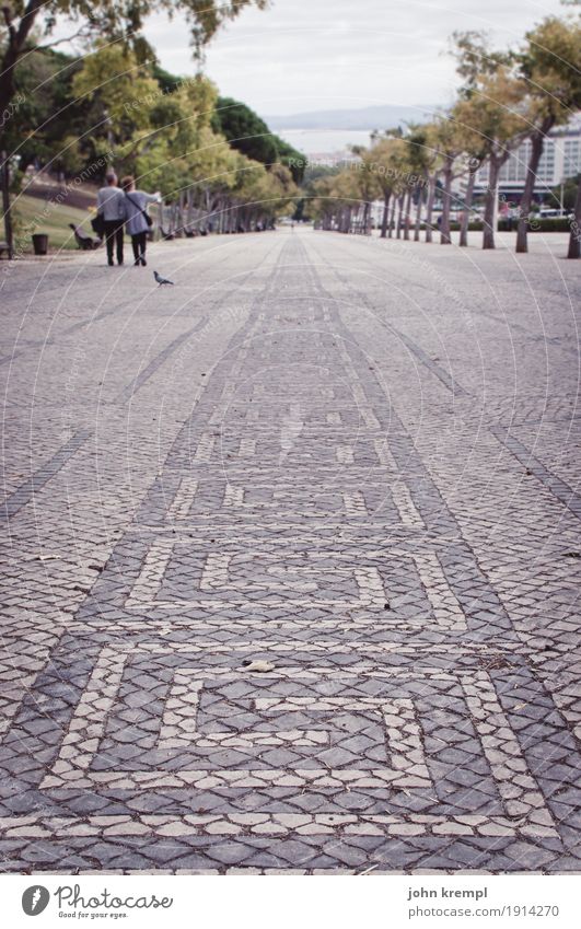 The flâneur is not to be sworn to Couple Partner Park Avenue Lisbon Portugal Parque Eduardo VII Lanes & trails Garden path Stone Ornament Mosaic Going Together