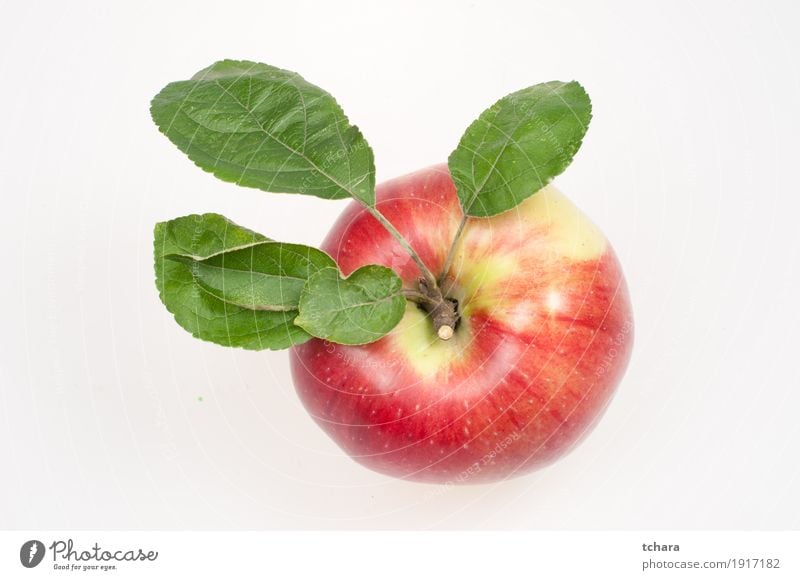 Ripe apple Fruit Apple Dessert Nutrition Vegetarian diet Diet Nature Leaf Fresh Delicious Natural Juicy Green Red White isolated background food healthy