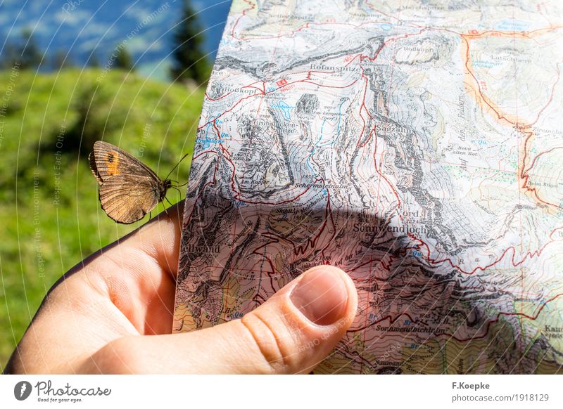 Discover nature Hand 1 Human being Newspaper Magazine Reading Nature Animal Summer Alps Mountain Butterfly Wild animal Flying Hiking Happy Happiness