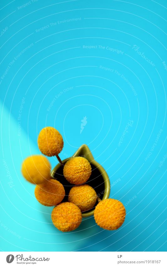 yellow flowers on blue background 3 Lifestyle Elegant Style Design Joy Wellness Harmonious Well-being Contentment Senses Relaxation Calm Leisure and hobbies