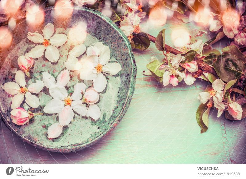 Water bowl with spring flowers Style Design Wellness Relaxation Spa Decoration Nature Plant Spring Leaf Blossom Blossoming Pink Aromatic Chic Spring fever