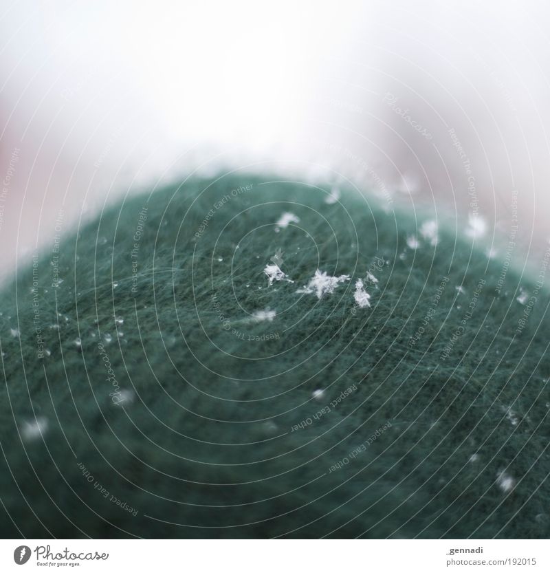 Green the colour of love Calm Head Cap Snowflake Snowscape Blur Flake Fluffy Thread Structures and shapes Headwear Cloth Detail Lie Wait Winter's day