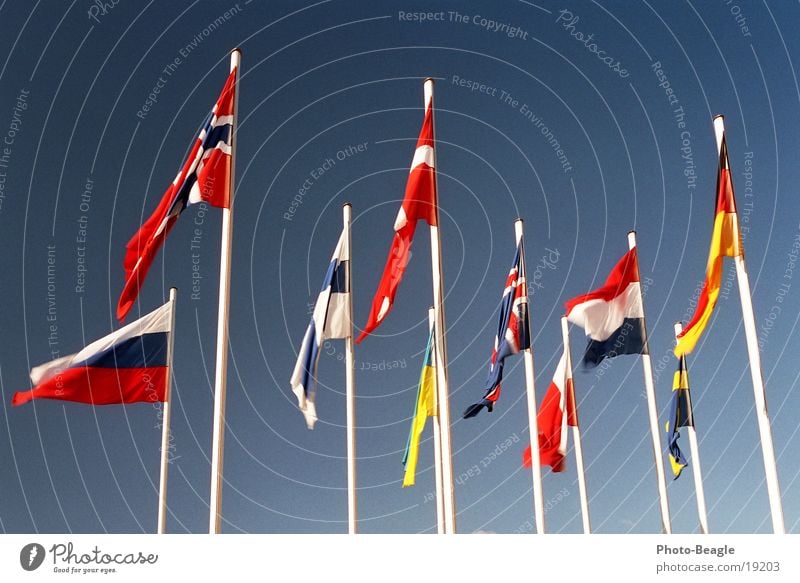 Flag in the wind I Flagpole Scandinavia Northern Europe Eastern Europe Norway Finland Ukraine Beautiful weather Denmark Sky Congress center Administration