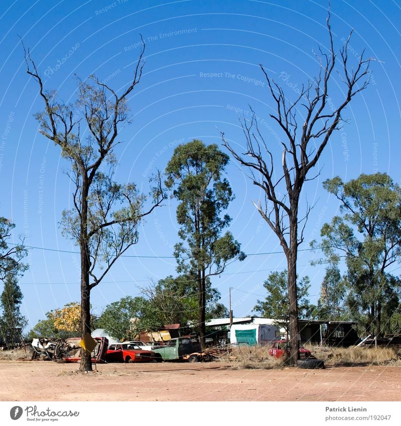 burnt Far-off places Camping Summer Environment Landscape Fire Sky Cloudless sky Climate Climate change Beautiful weather Warmth Drought Tree To dry up Car