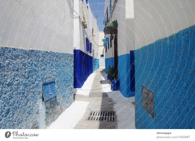 Rabat alleys Town Building Street Blue White Morocco medina intricated Exterior shot Day Wide angle Alley Narrow Blue-white Old town Cute Calm verwinkelt