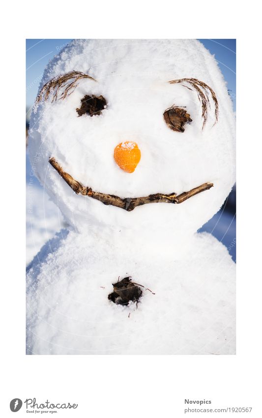 snowman II Nature Winter Ice Frost Snow Snowfall Funny Blue Brown Red White portrait Snowman eyes Nose eyebrown Carrot eyebrows Colour photo Exterior shot Day