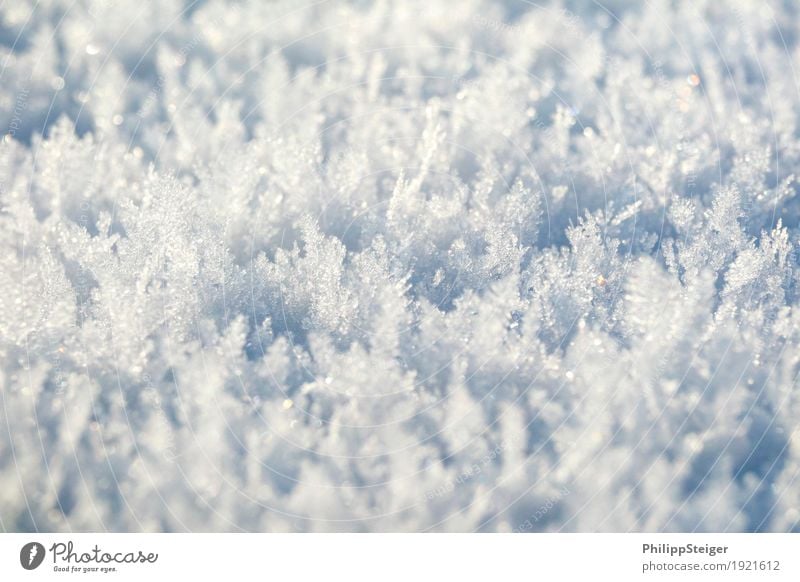 ice crystals Winter Nature Elements Water Ice Frost Snow Cold Bizarre Ground Ice crystal Frozen Colour photo Exterior shot Deserted Copy Space top