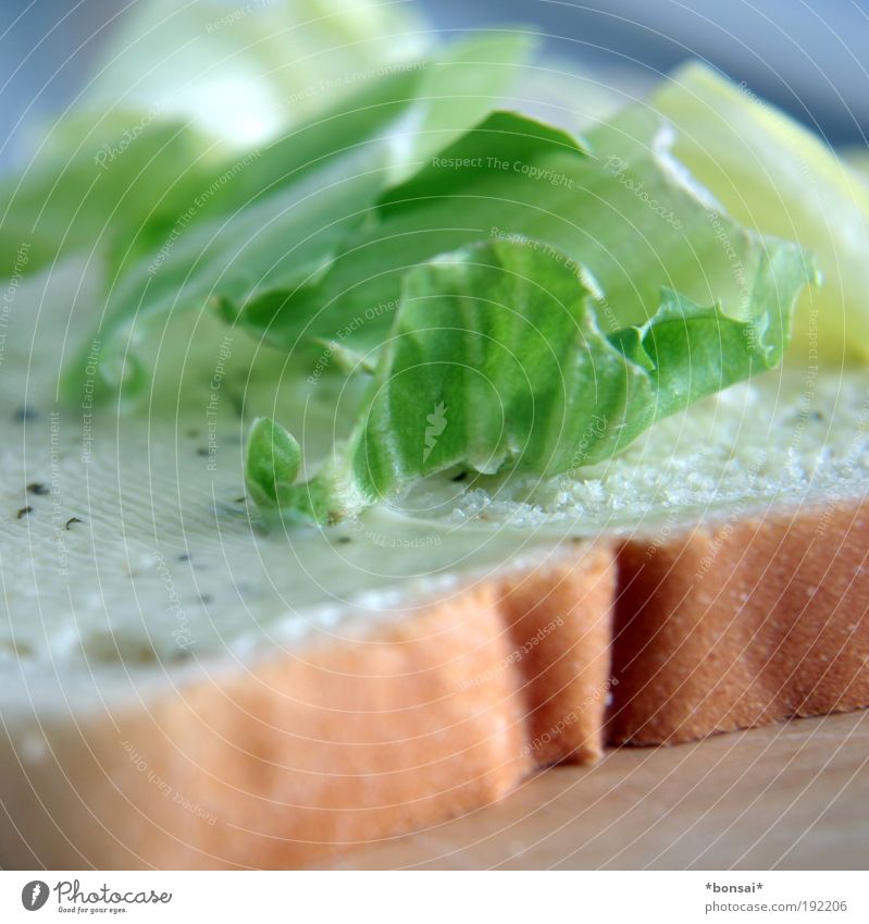 MAKING OF Lettuce Salad Bread tartar sauce Simple Fresh Delicious Speed Brown Green White Appetite To enjoy Ease White bread Sandwich Colour photo Interior shot