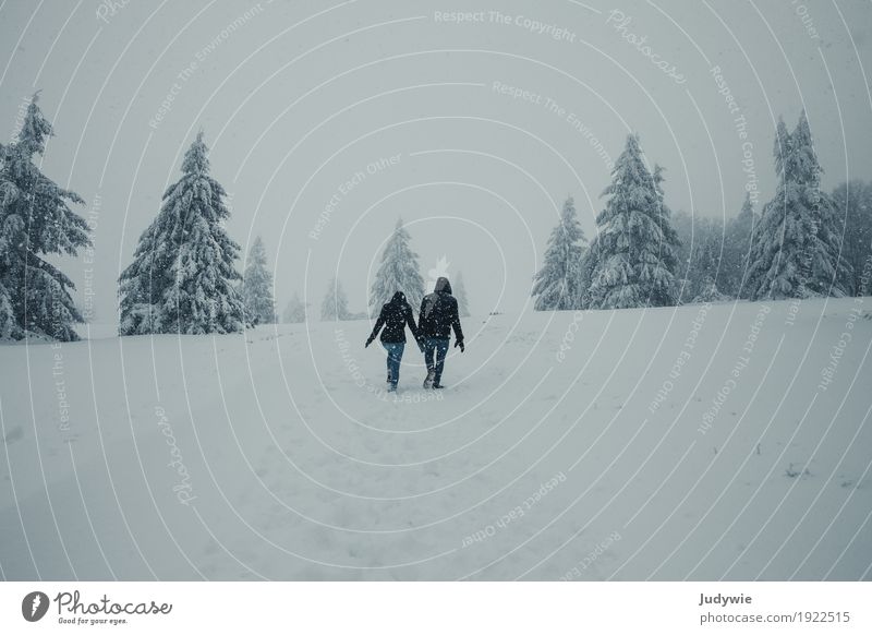 On the road in Narnia Winter Snow Winter vacation Human being Masculine Feminine Friendship Couple Partner Environment Nature Climate Ice Frost Snowfall Forest