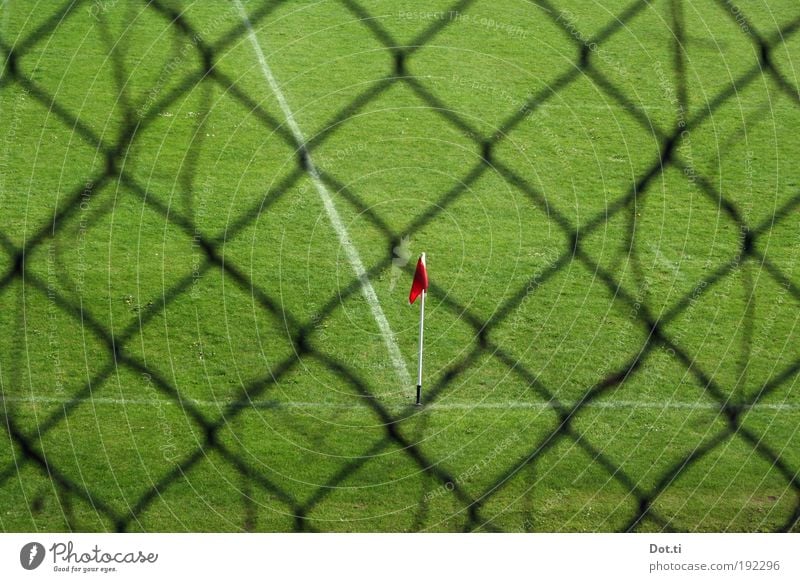 Fortuna the players go out Leisure and hobbies Sports Ball sports Sporting Complex Football pitch Meadow Green Fence Wire netting fence Flag corner flag Corner