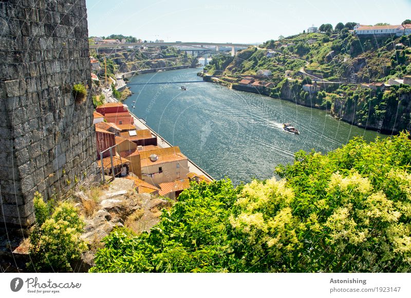 douro Environment Nature Landscape Sky Cloudless sky Horizon Summer Weather Beautiful weather Plant Tree Bushes Hill Waves River bank Douro Porto Portugal Town