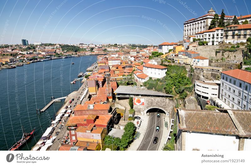 City on the river Environment Nature Water Sky Cloudless sky Horizon Summer Weather Beautiful weather Warmth Plant Tree Bushes River bank Douro Porto Portugal