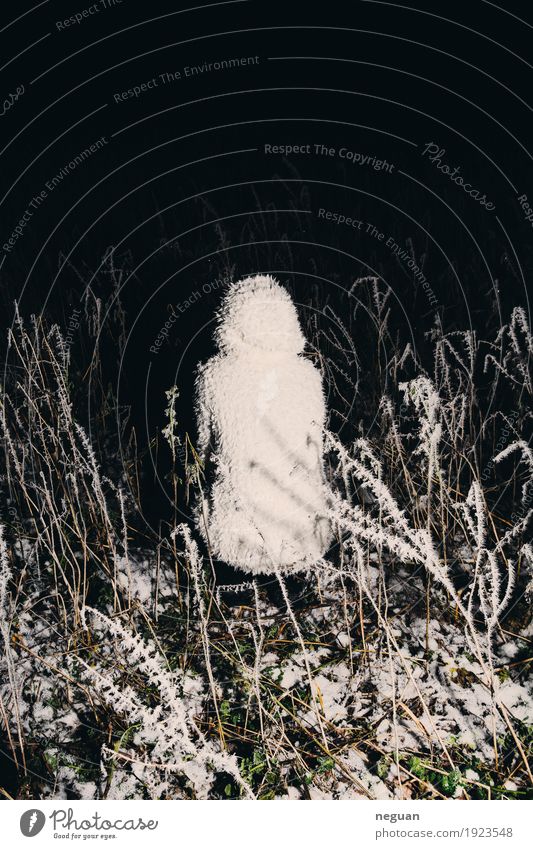 untitled Human being Woman Adults Art Sculpture Music Environment Nature Winter Ice Frost White Fear Horror Dangerous Adventure Apocalyptic sentiment Cold