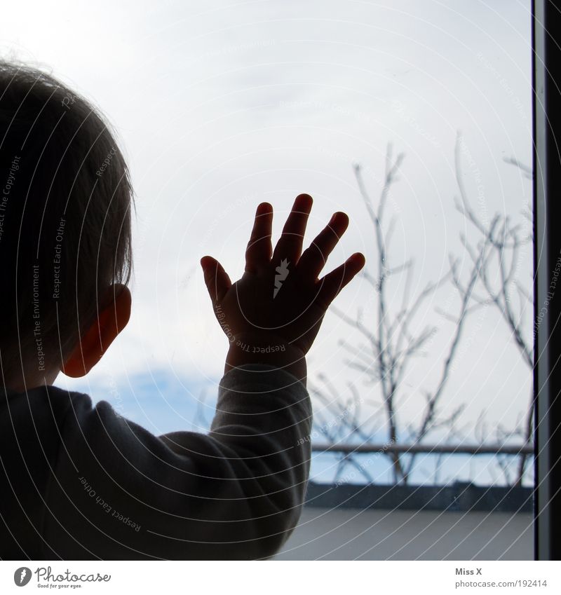 Once more sleep little man Living or residing Human being Baby Boy (child) 1 Window Wait Small Emotions Moody Anticipation Longing Wanderlust Infancy Sadness