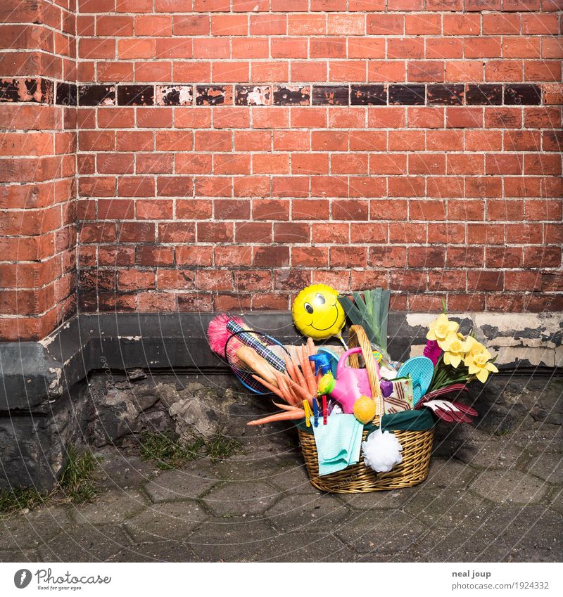 shopping Vegetable Baguette Shopping Save Wall (barrier) Wall (building) Brick Watering can Kitsch Odds and ends Shopping basket Bouquet Fresh Healthy